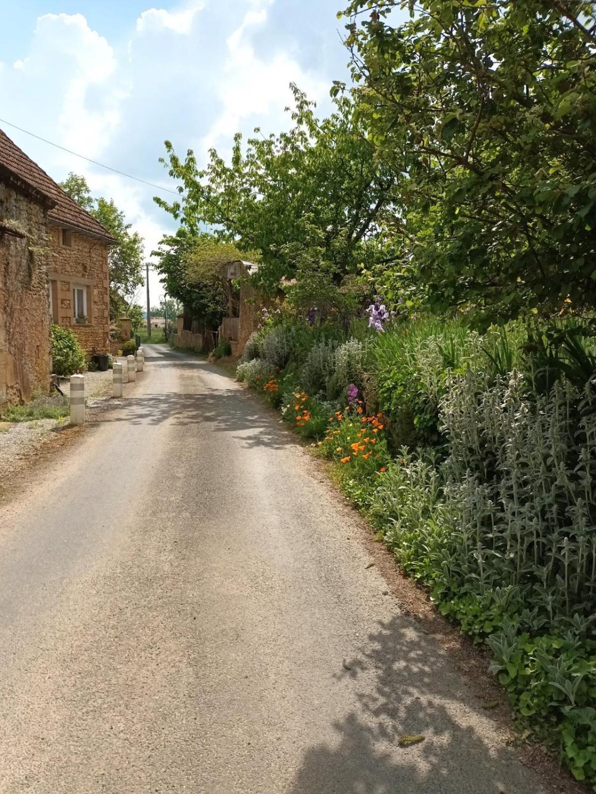 Отель Ferme De Lagrave Ку-Э-Бигарок Экстерьер фото